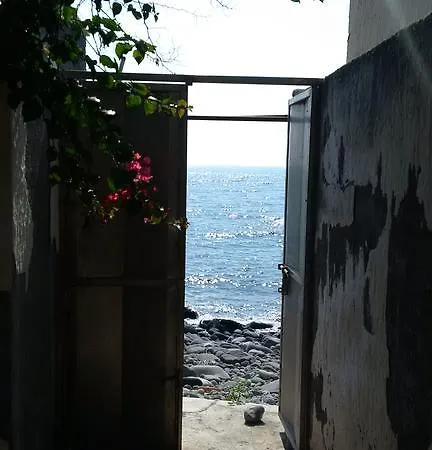 Holiday Delle Rose